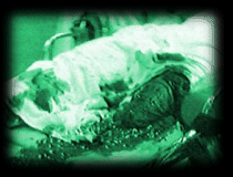 case.gif (28201 bytes)