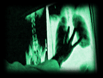 pic.gif (22659 bytes)